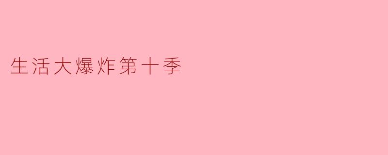 生活大爆炸第十季