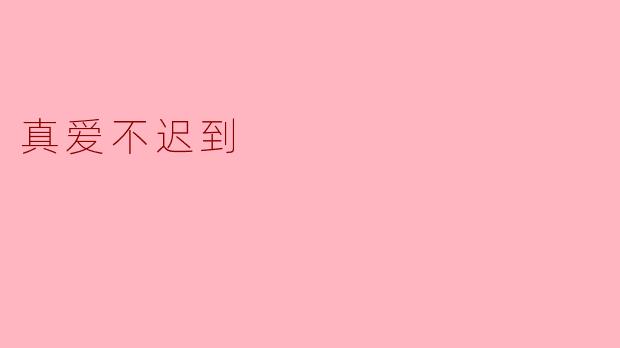 真爱不迟到:时光深处的温柔守候