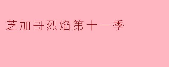 芝加哥烈焰第十一季