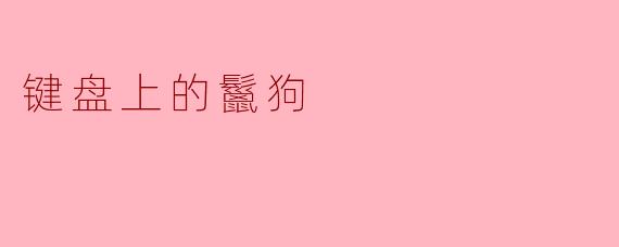 键盘上的鬣狗
