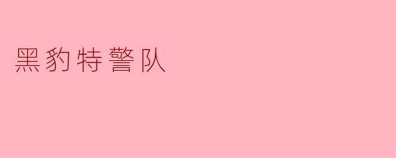 黑豹特警队