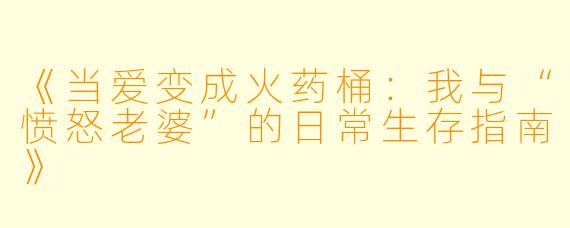 《当爱变成火药桶：我与“愤怒老婆”的日常生存指南》