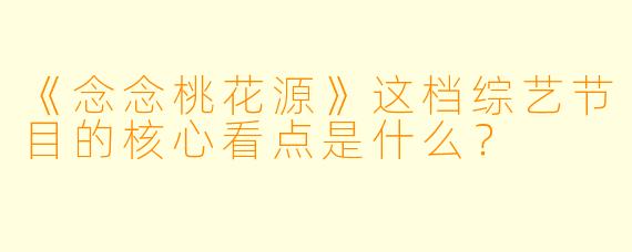 《念念桃花源》这档综艺节目的核心看点是什么？