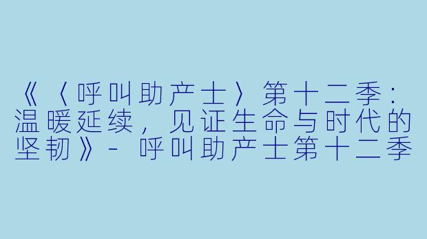 《〈呼叫助产士〉第十二季:温暖延续,见证生命与时代的坚韧》