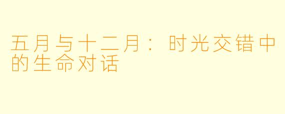 五月与十二月：时光交错中的生命对话