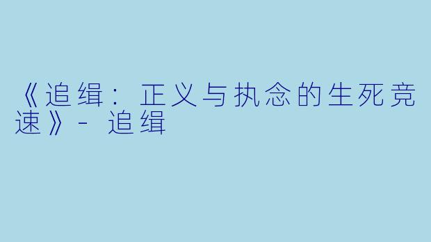 《追缉：正义与执念的生死竞速》-追缉