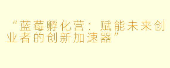 “蓝莓孵化营：赋能未来创业者的创新加速器”