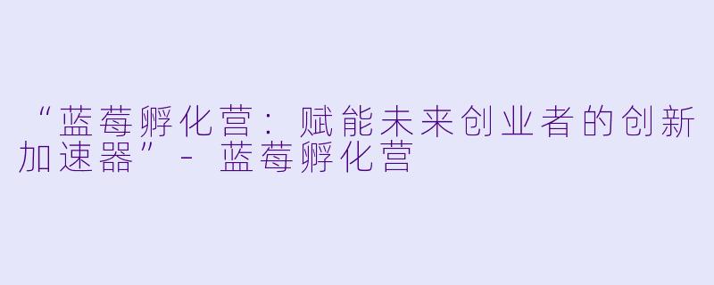 “蓝莓孵化营：赋能未来创业者的创新加速器”-蓝莓孵化营