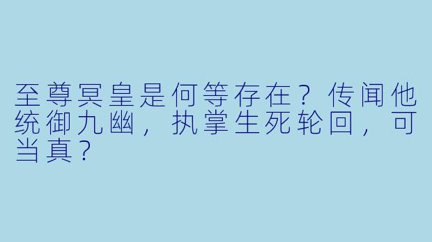 至尊冥皇是何等存在？传闻他统御九幽，执掌生死轮回，可当真？