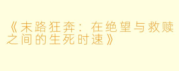 《末路狂奔：在绝望与救赎之间的生死时速》