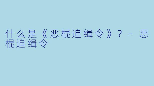 什么是《恶棍追缉令》?