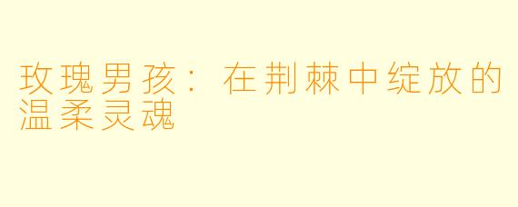 玫瑰男孩：在荆棘中绽放的温柔灵魂
