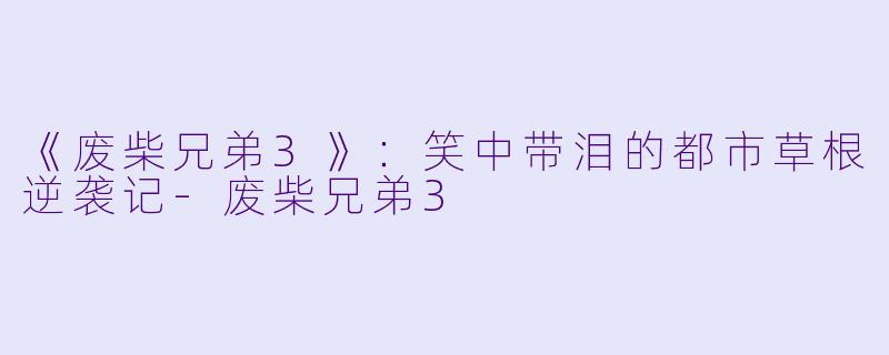 《废柴兄弟3》：笑中带泪的都市草根逆袭记-废柴兄弟3