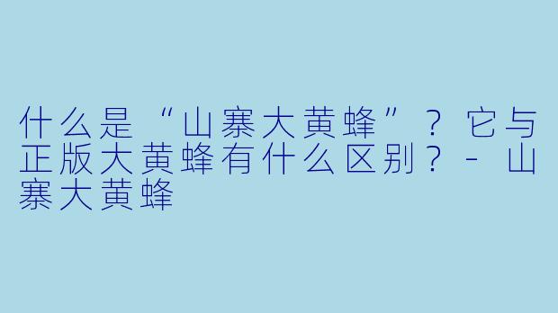 什么是“山寨大黄蜂”？它与正版大黄蜂有什么区别？-山寨大黄蜂