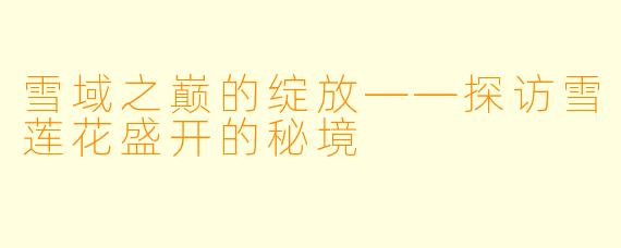 雪域之巅的绽放——探访雪莲花盛开的秘境