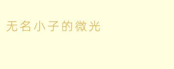 无名小子的微光