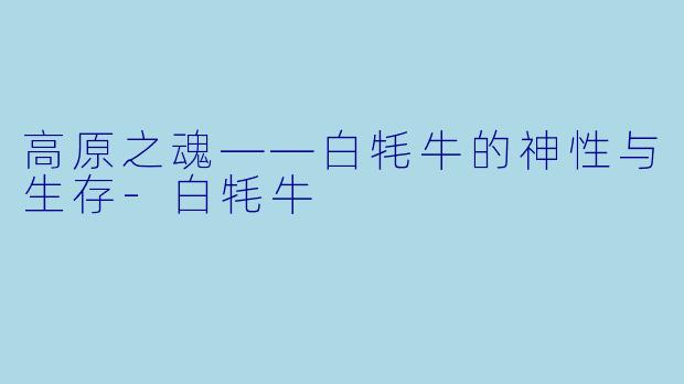 高原之魂——白牦牛的神性与生存-白牦牛