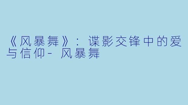 《风暴舞》：谍影交锋中的爱与信仰-风暴舞