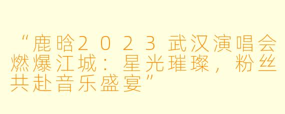 “鹿晗2023武汉演唱会燃爆江城：星光璀璨，粉丝共赴音乐盛宴”