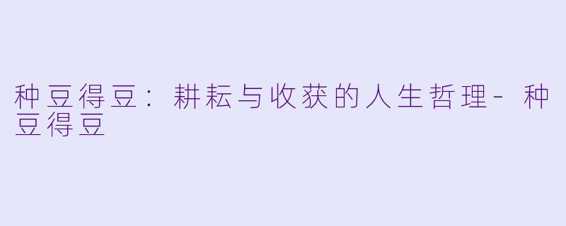 种豆得豆：耕耘与收获的人生哲理-种豆得豆