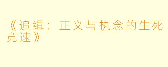《追缉：正义与执念的生死竞速》