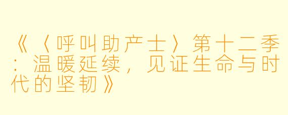 《〈呼叫助产士〉第十二季：温暖延续，见证生命与时代的坚韧》