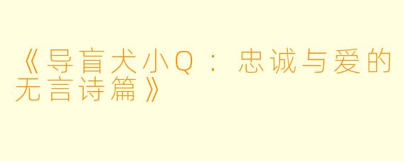 《导盲犬小Q：忠诚与爱的无言诗篇》