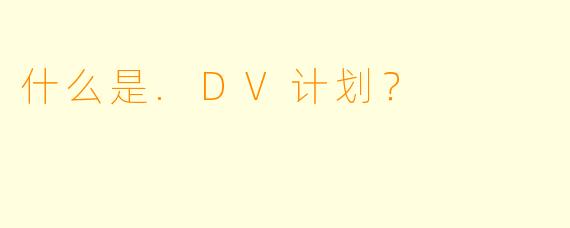 什么是.DV计划？