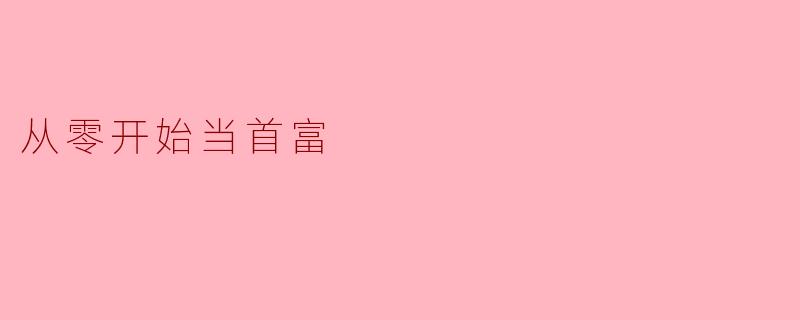 从零开始当首富