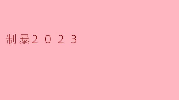 制暴2023