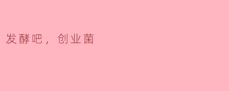 发酵吧，创业菌