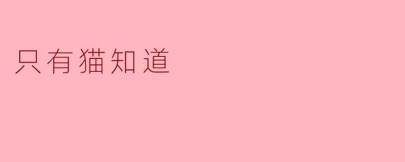 只有猫知道