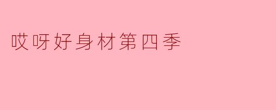 哎呀好身材第四季