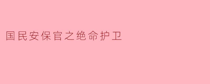 国民安保官之绝命护卫