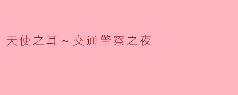 天使之耳～交通警察之夜