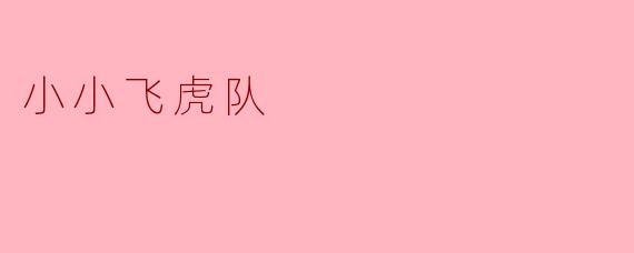 小小飞虎队