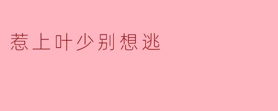 惹上叶少别想逃
