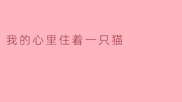 我的心里住着一只猫