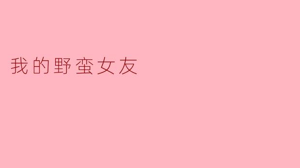 我的野蛮女友
