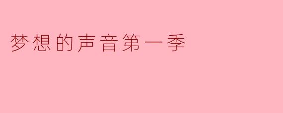 梦想的声音第一季