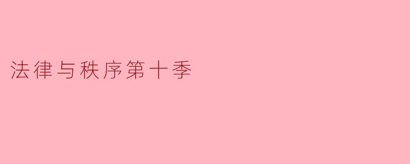 法律与秩序第十季
