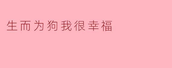 生而为狗我很幸福
