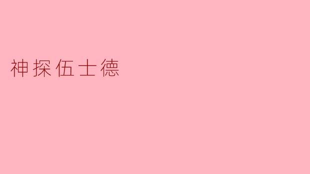 神探伍士德：迷雾中的正义之光