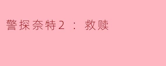警探奈特2：救赎