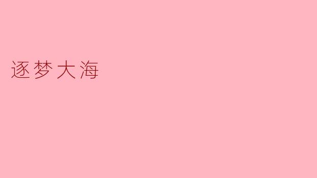 逐梦大海