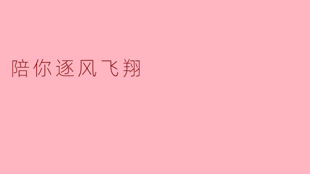 陪你逐风飞翔