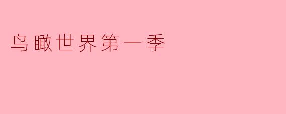 鸟瞰世界第一季