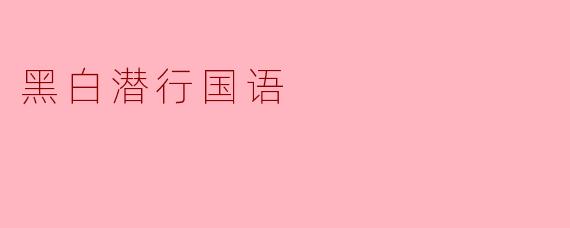 黑白潜行国语