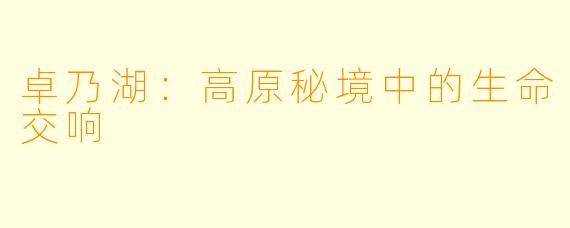 卓乃湖：高原秘境中的生命交响