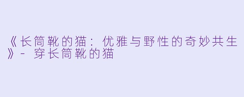 《长筒靴的猫：优雅与野性的奇妙共生》-穿长筒靴的猫